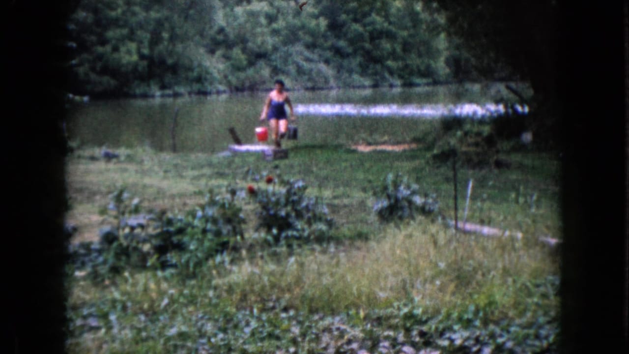 Woman with buckets stands farther along the grassy lakeshore near water and trees.
