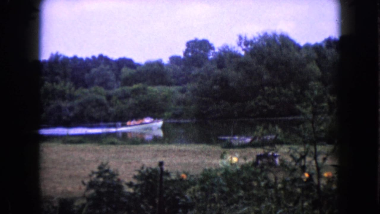 Small motorboat on a calm lake with trees and grass in the foreground.