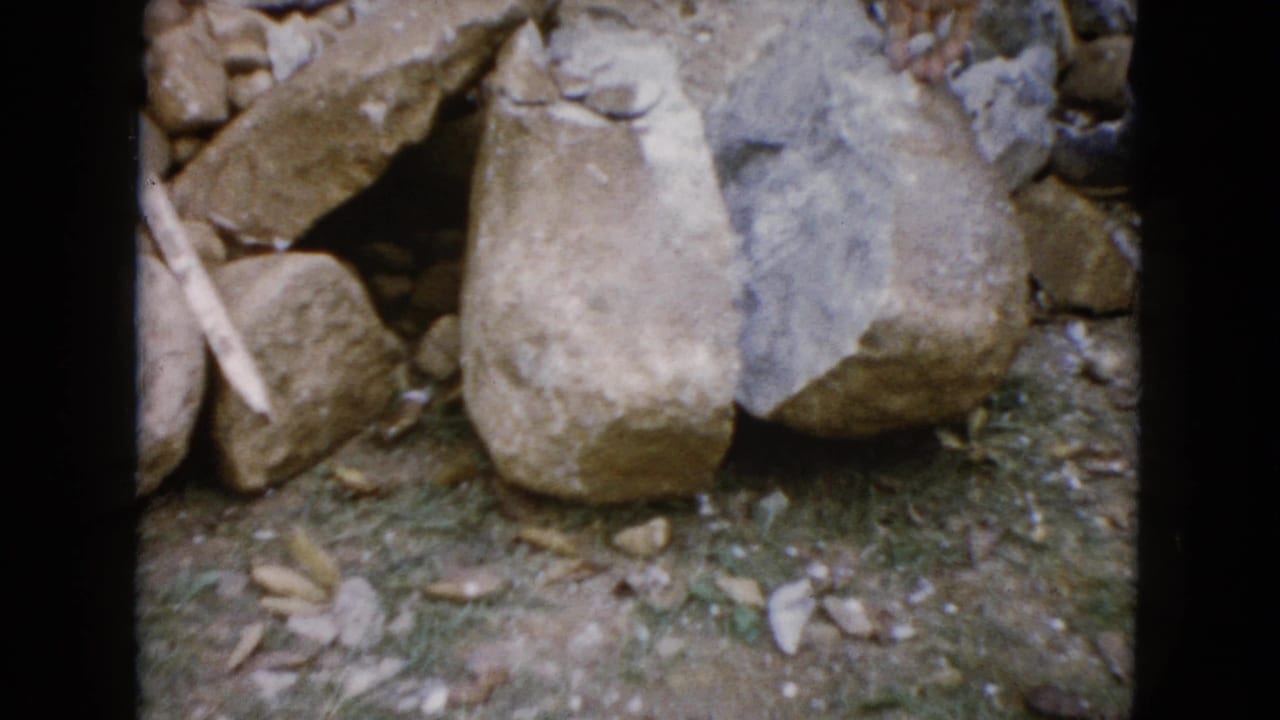 Close 8mm frame of backyard stones in Wauconda, Illinois, with a partial adult figure visible near the rocks.