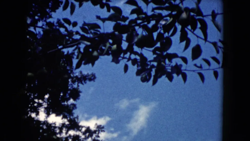 1960 Wauconda home-movie frame with dark leafy branches across the top and side of a blue, lightly clouded sky.