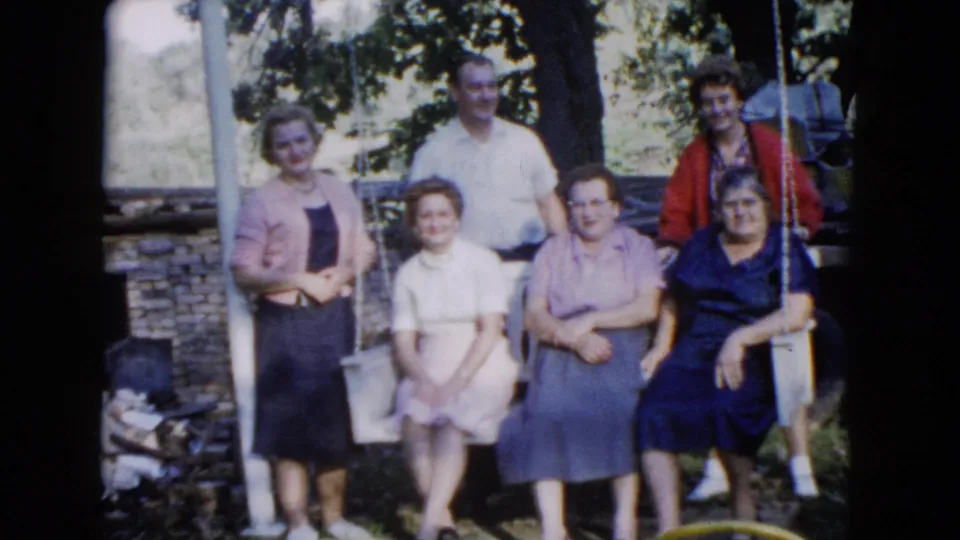 The final frame shows the same Wauconda family grouping on and beside the swing, with trees and a low wall behind them.
