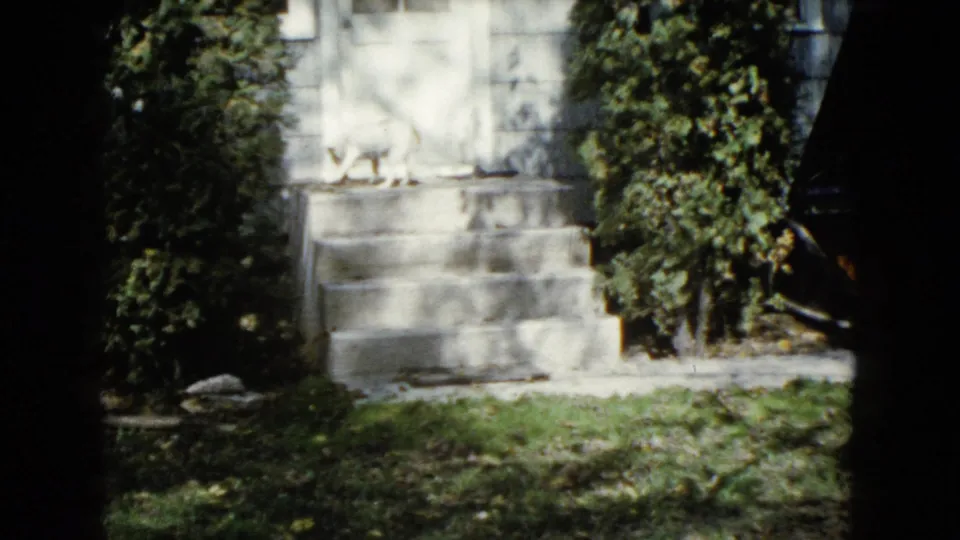1960 Wauconda home-movie frame showing concrete front steps, green shrubs, grass, and dark film-edge framing.