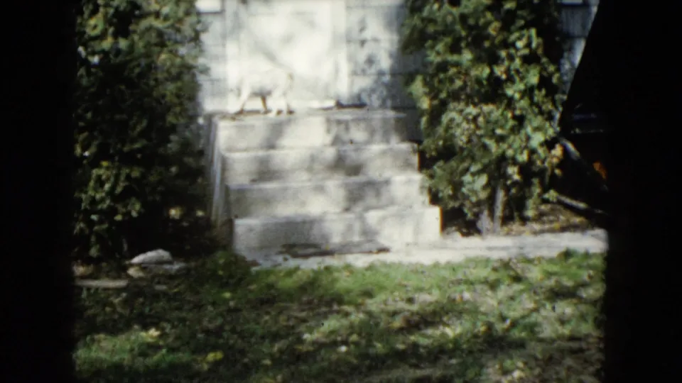 1960 Wauconda home-movie frame of front steps, bushes, and grassy yard with grainy 8mm texture.
