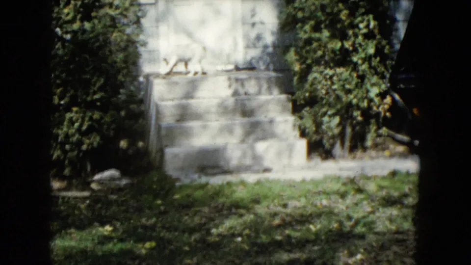 1960 Wauconda residential exterior with concrete steps, thick shrubs, grass, and soft home-movie exposure.