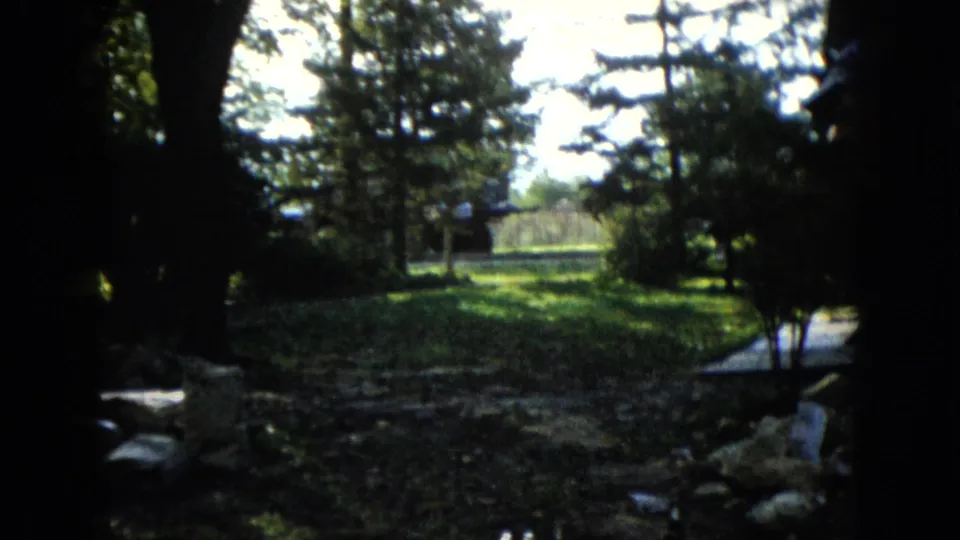 The clip shifts to a shaded, sun-dappled meadow or yard area in Wauconda, with trees and open grass visible beyond a dark foreground edge.