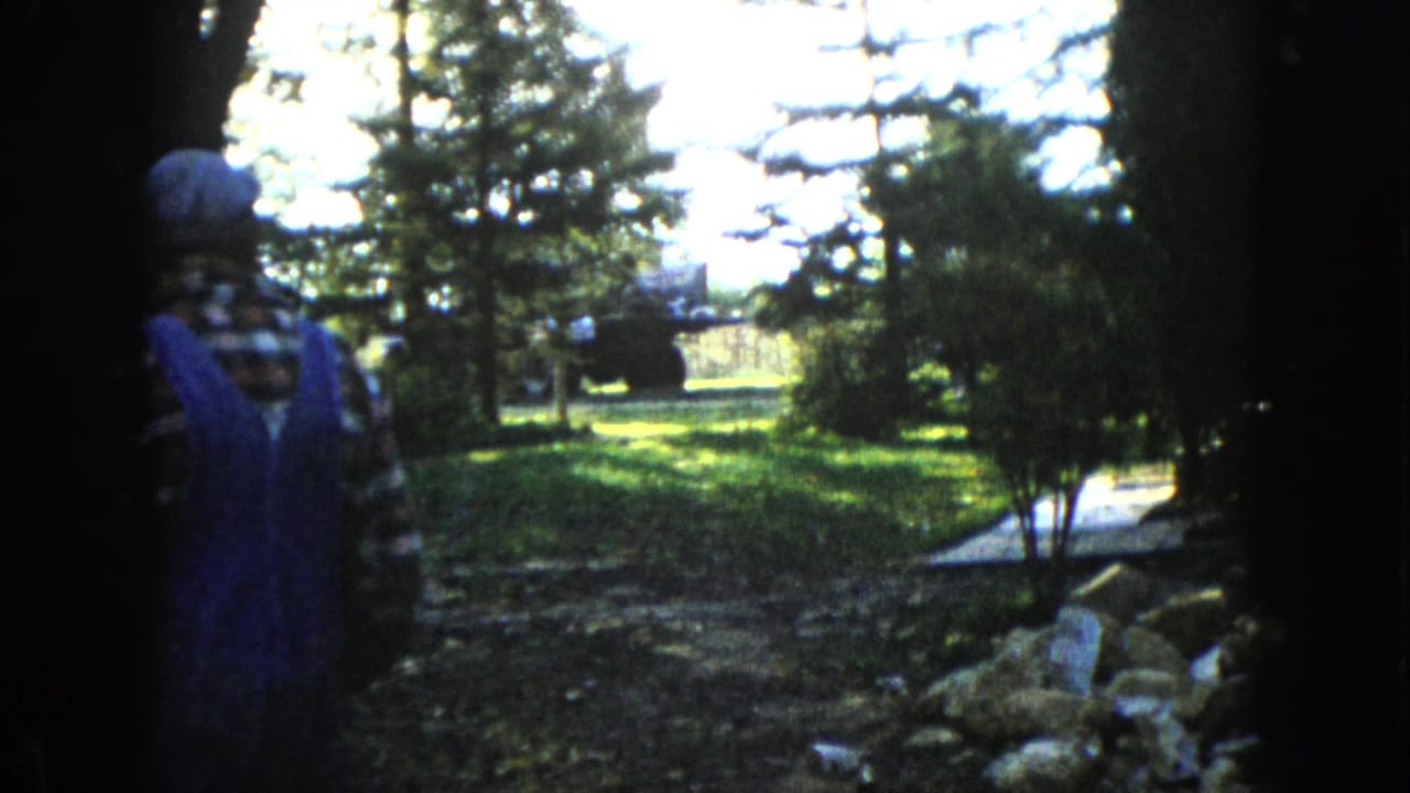 In Wauconda, Illinois around 1960, a person in blue overalls and plaid shirt walks away from the camera through a shaded garden toward a tractor.