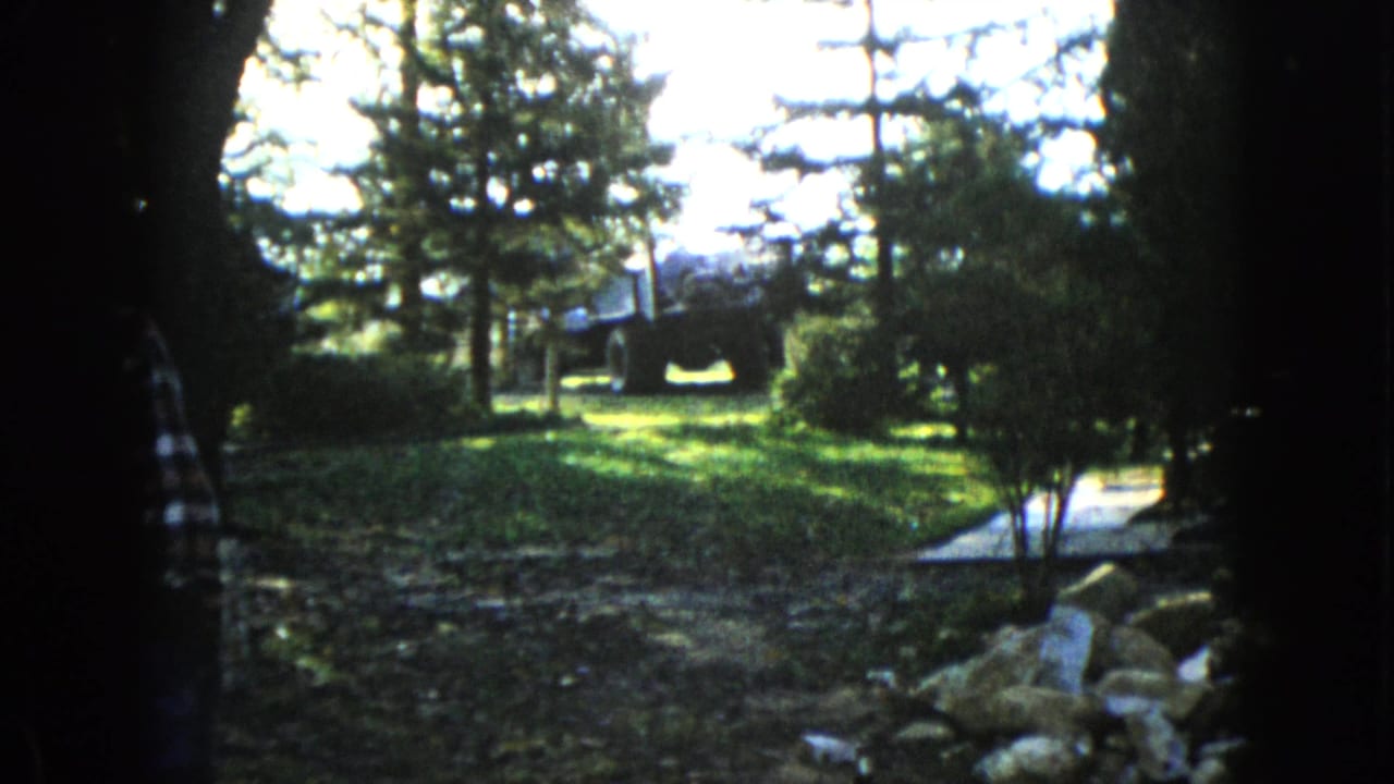 Shaded yard with trees, grass, rocks, and a distant dark vehicle-like shape.