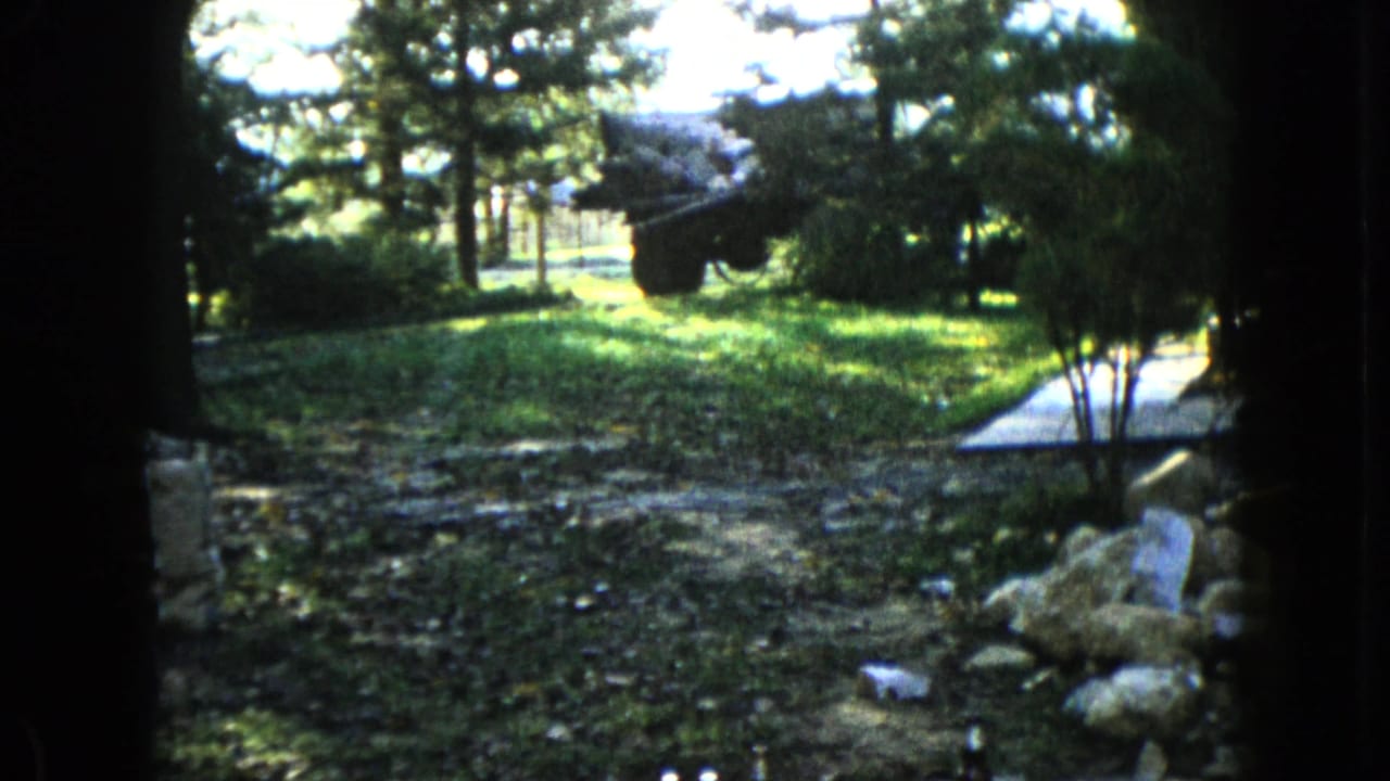 Wooded yard seen from shade with grass, rocks, trees, and a dark object in the background.