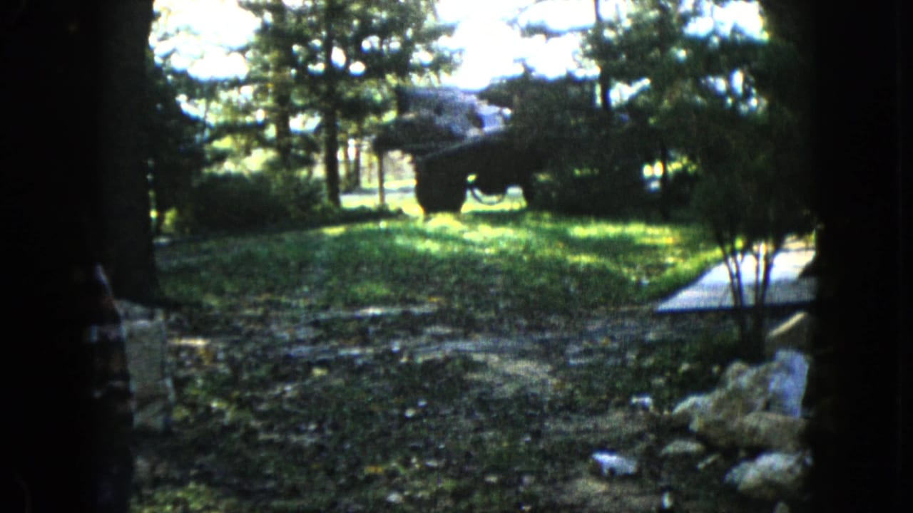 Sunlit wooded yard with tree trunks, grass, a path, rocks, and a dark object beyond the trees.