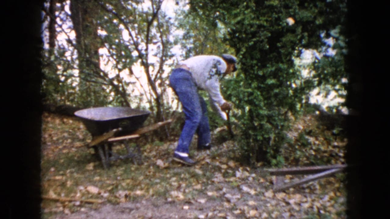Man bends with a shovel beside a wheelbarrow and shrubs.