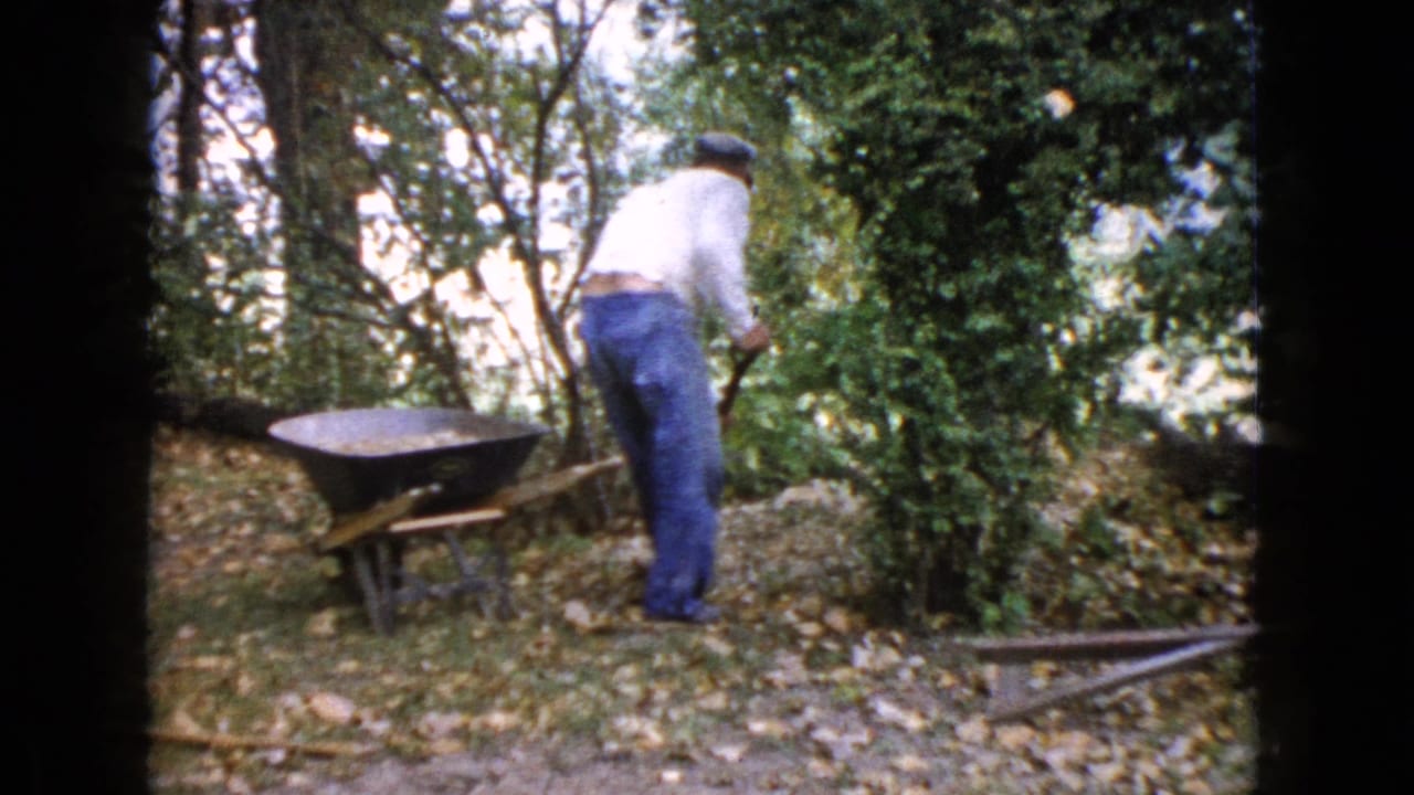 In Wauconda, Illinois, 1960 home-movie footage, a man works with a shovel beside a wheelbarrow in a leaf-strewn backyard.