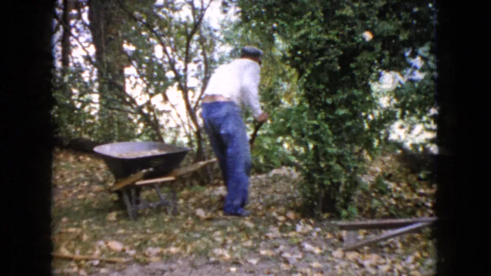 In Wauconda, Illinois, 1960 home-movie footage, a man works with a shovel beside a wheelbarrow in a leaf-strewn backyard.