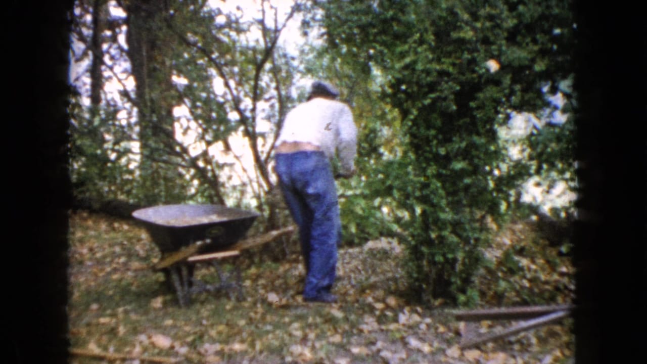 Man seen from behind working with a shovel near a wheelbarrow and shrubs.