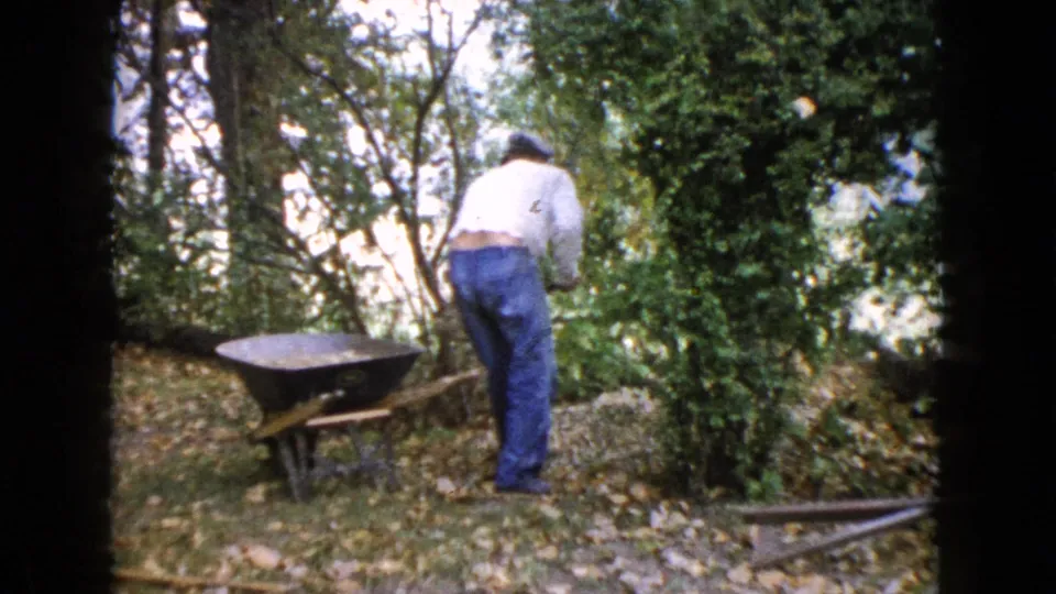 A man in a white shirt and blue jeans works from behind with a shovel near a wheelbarrow in the 1960 Wauconda backyard scene.