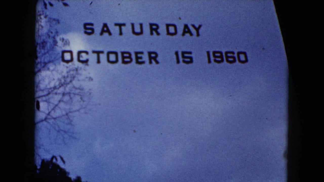 Superimposed date text over blue sky with silhouetted tree branches and rounded film edges.