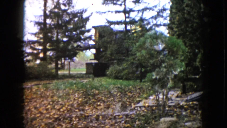 The final frame shows the surrounding Wauconda yard with fallen leaves, trees, shrubs, and a path after the house-moving action leaves view.