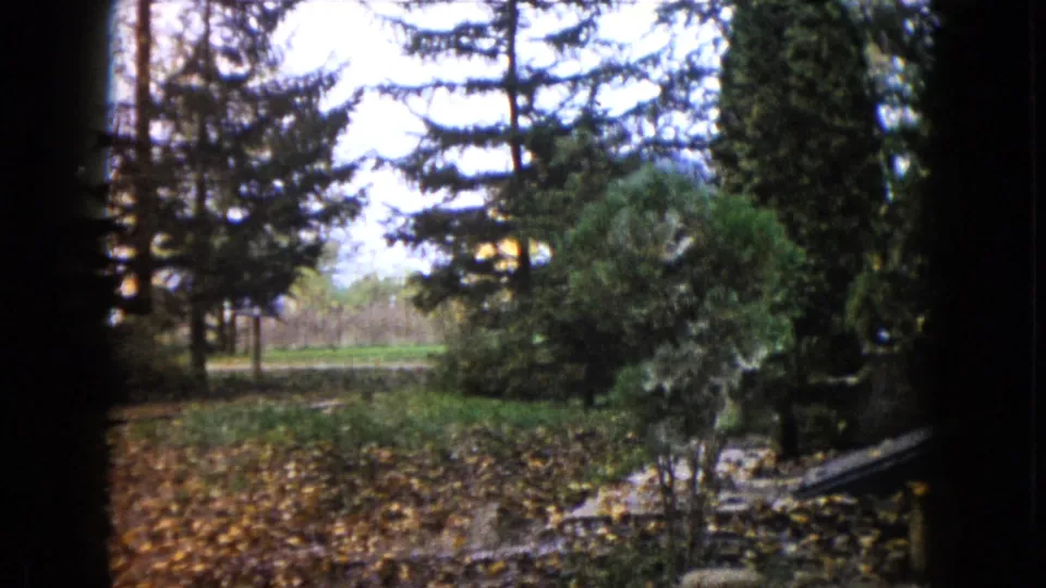 1960 Wauconda frame showing a residential yard with evergreens, shrubs, leaves, and a partial walkway or edging.