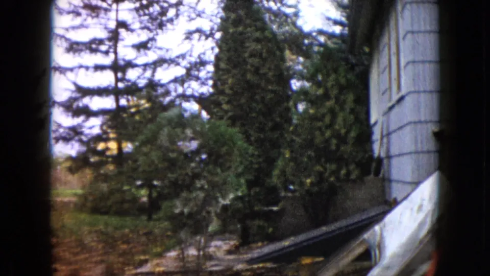 1960 Wauconda home-movie view of a house wall, evergreen shrubs, fallen leaves, and a curved sheet near the foundation.