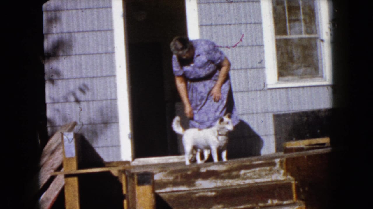 In Wauconda, Illinois, an older woman in a purple dress bends toward a small white dog outside a light-sided house.