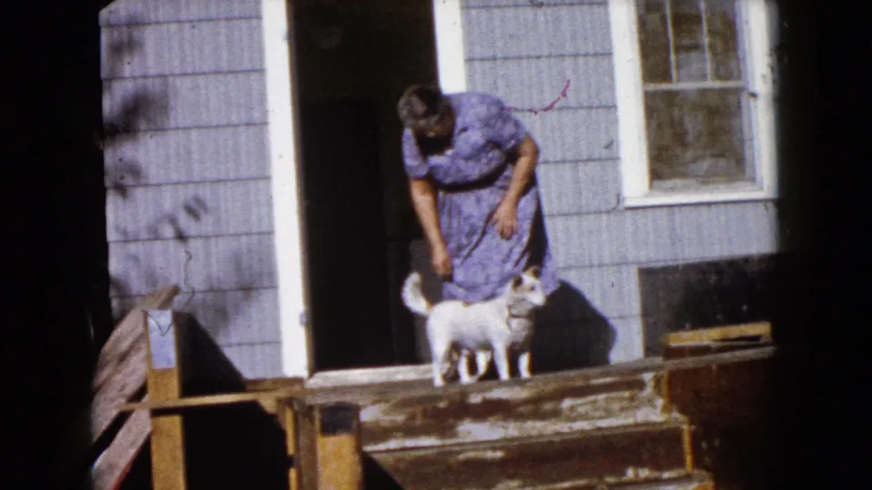 In Wauconda, Illinois, an older woman in a purple dress bends toward a small white dog outside a light-sided house.