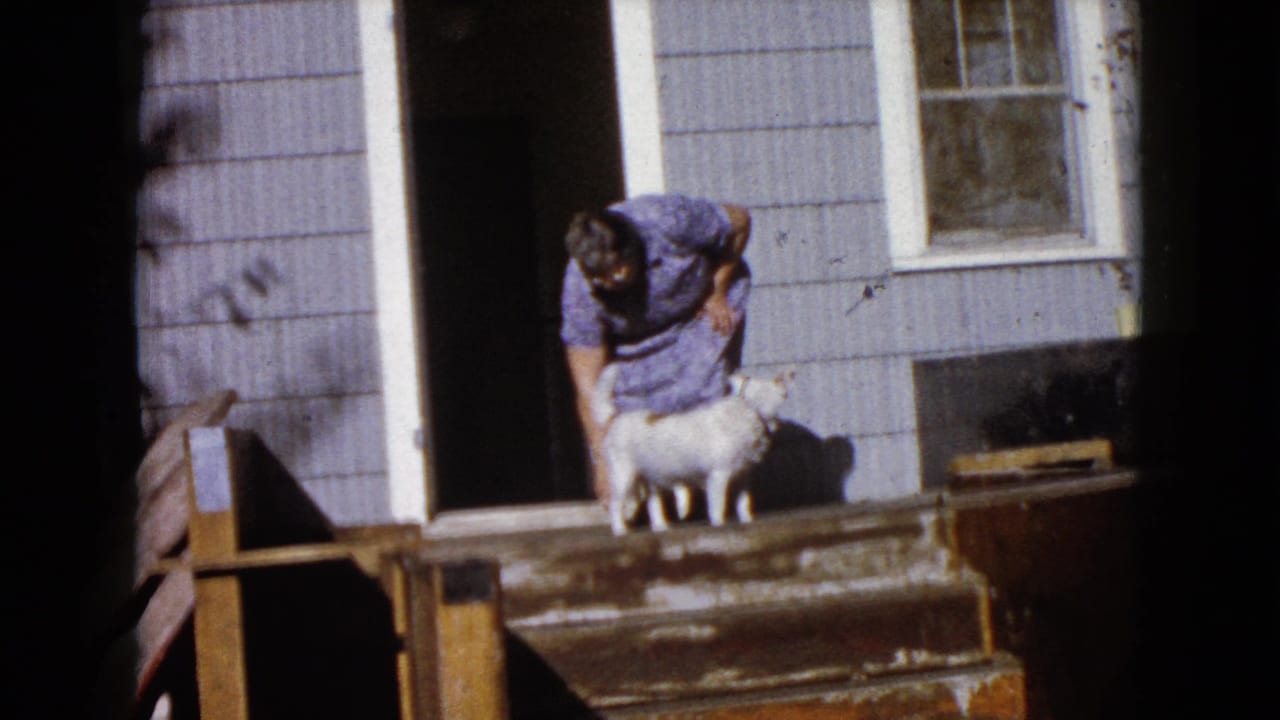 Woman bends toward a small white dog on wooden steps outside a clapboard house.