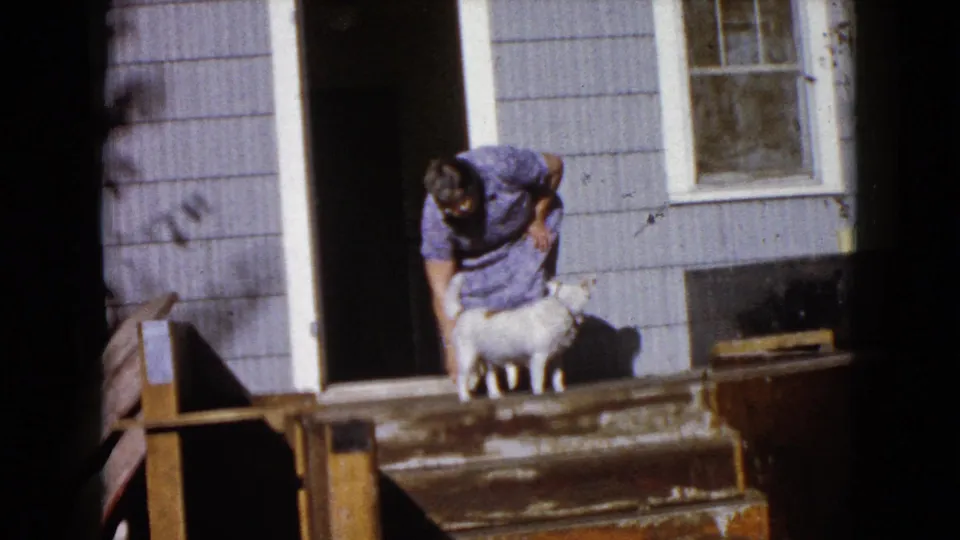 In Wauconda, Illinois, 1960, a woman in a purple dress bends toward a small white dog on weathered steps by a dark doorway.