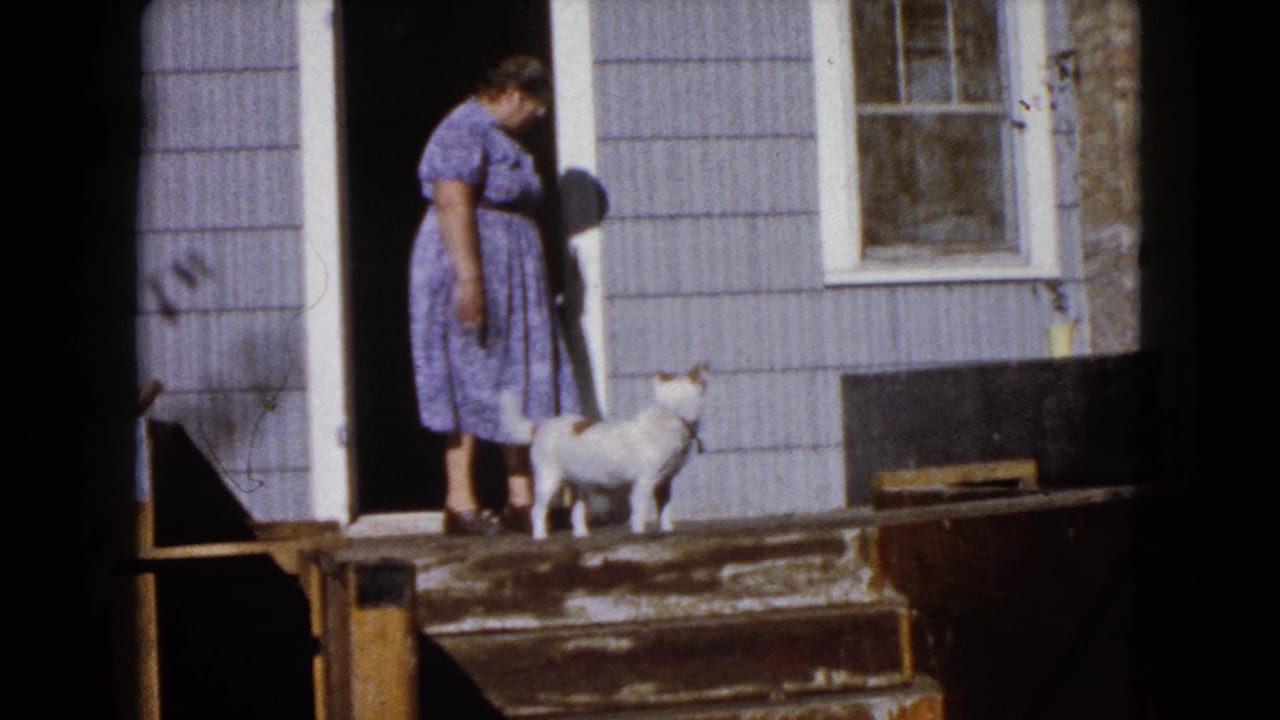 At the end of the Wauconda 1960 clip, the woman looks down toward the small dog beside her on the weathered entry steps.