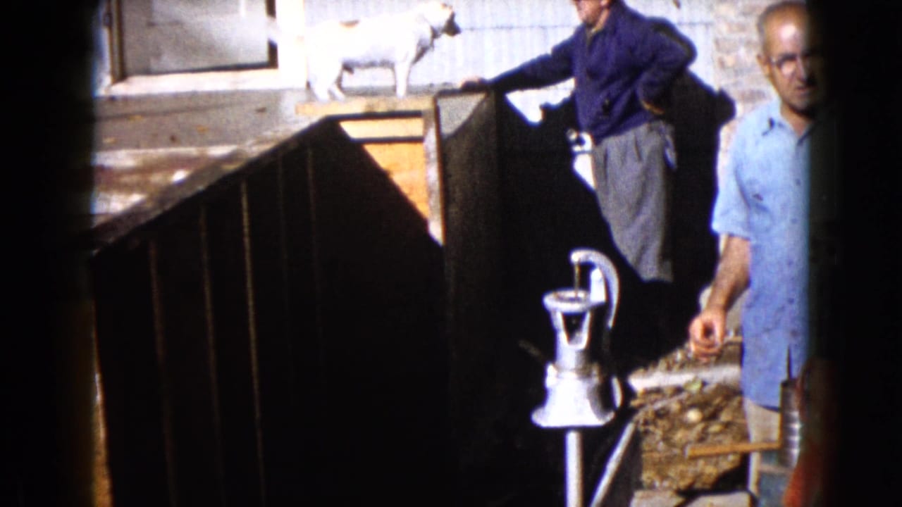 1960 Wauconda frame with a man reaching toward a white dog on a platform while another man stands beside a backyard hand pump.