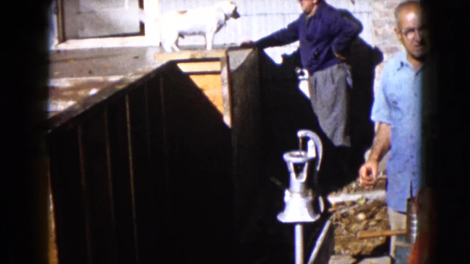 1960 Wauconda frame with a man reaching toward a white dog on a platform while another man stands beside a backyard hand pump.