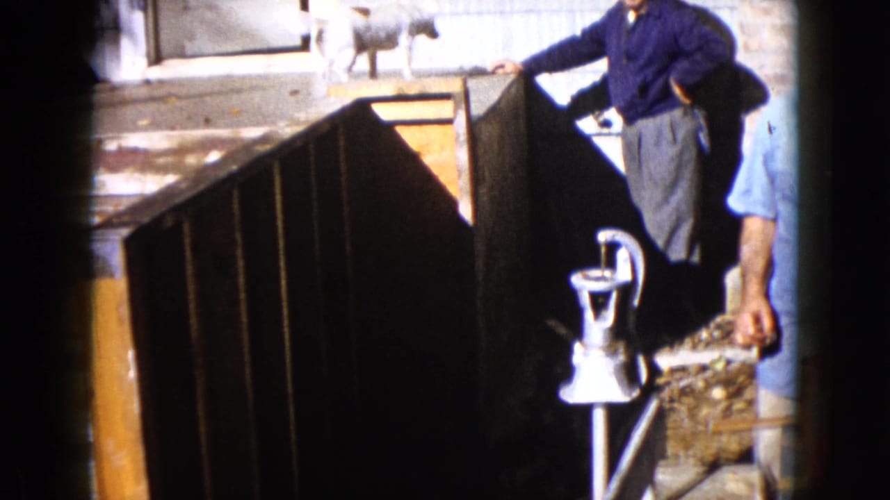 1960 Wauconda home-movie frame showing the dog on the platform, a man standing nearby, and the hand pump in the yard.