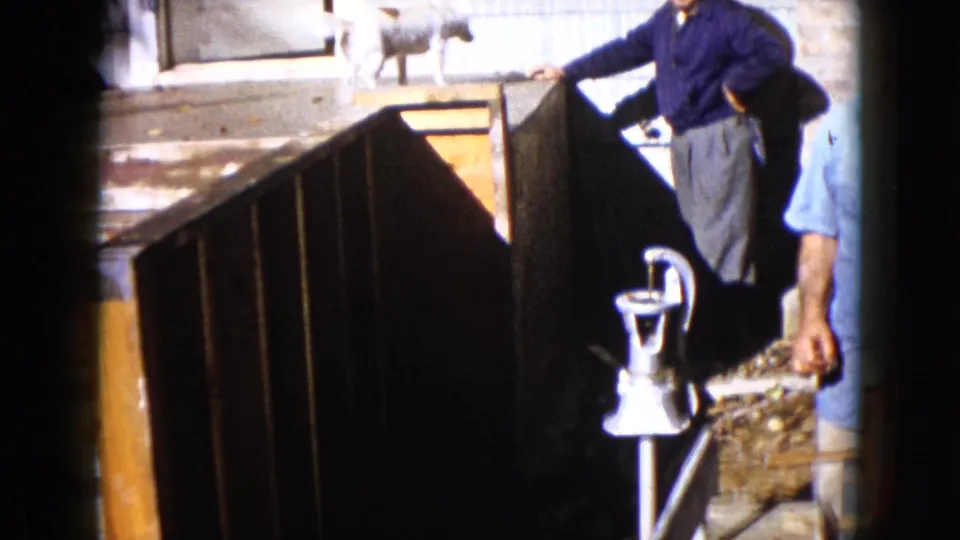 1960 Wauconda home-movie frame showing the dog on the platform, a man standing nearby, and the hand pump in the yard.