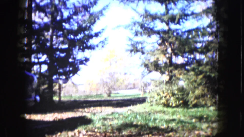 The view shifts across a shaded wooded yard toward bright lawn and shrubs, with a partial figure at the left edge.