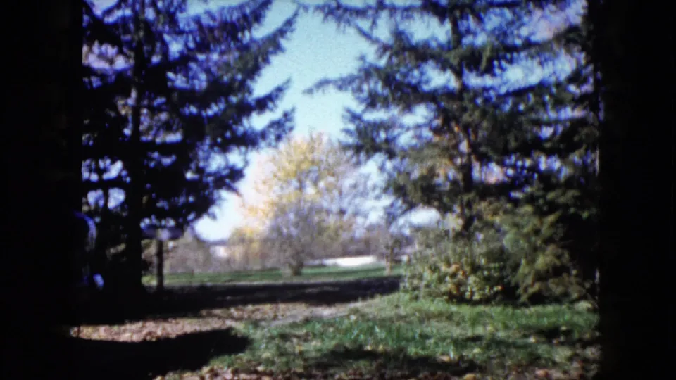 A wooded yard in Wauconda, Illinois, shows trees, shrubs, and bright open lawn in soft 8mm color.