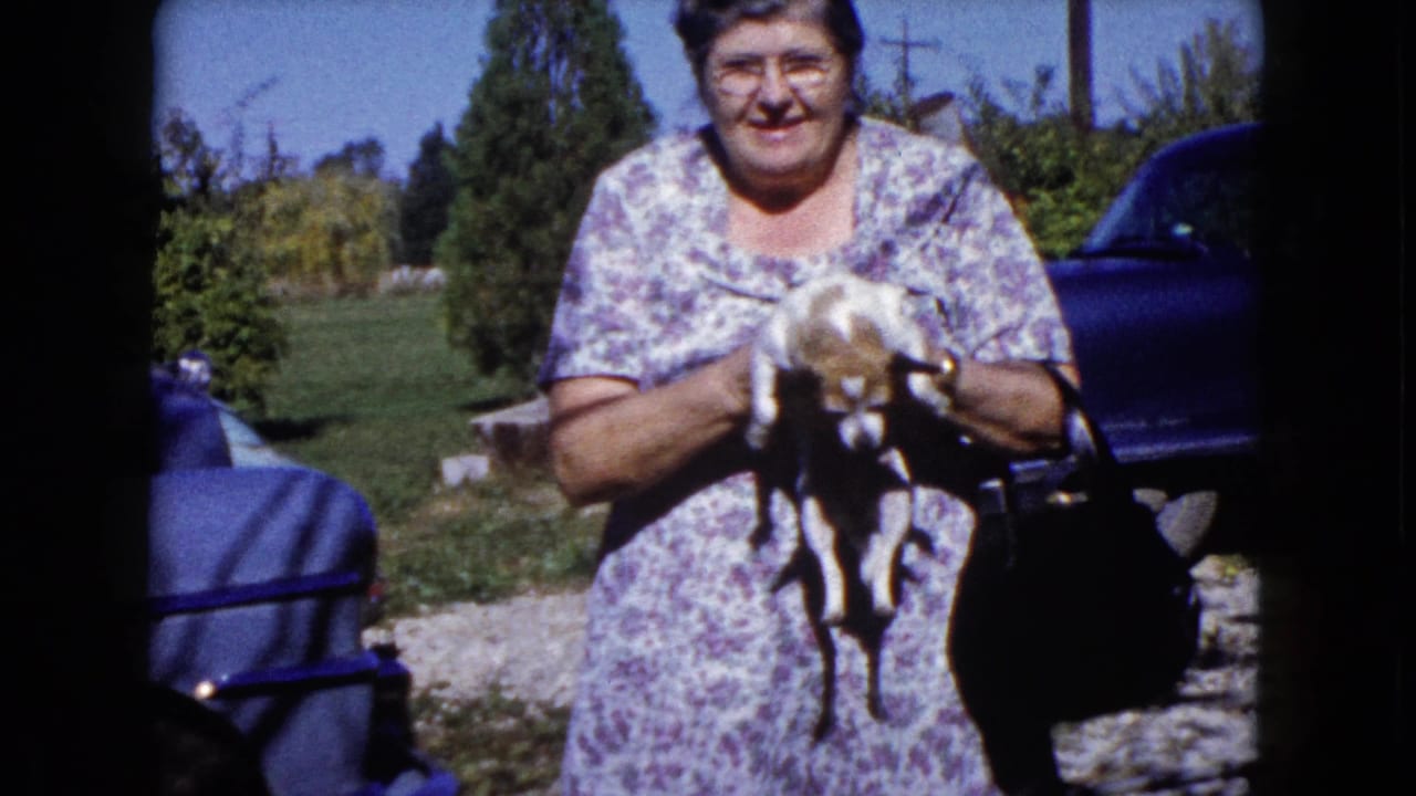 Woman in a floral dress holds a small dog in a sunny yard beside a blue car.