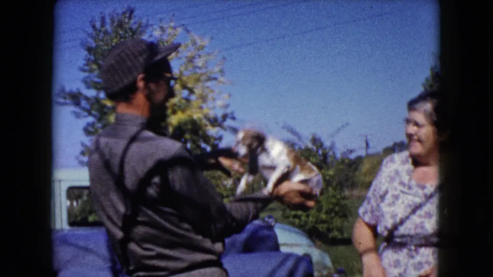 The man holds the small puppy out toward the smiling woman in the sunny Wauconda yard, with cars, shrubs, trees, and film borders visible.