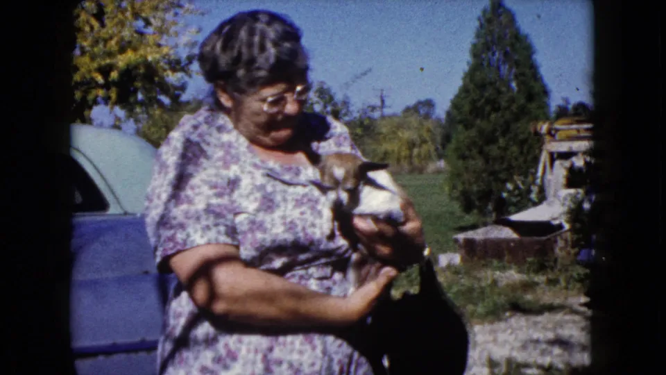 A woman in a floral dress gently holds the small puppy in Wauconda, Illinois, with a yard and parked vehicles behind her.