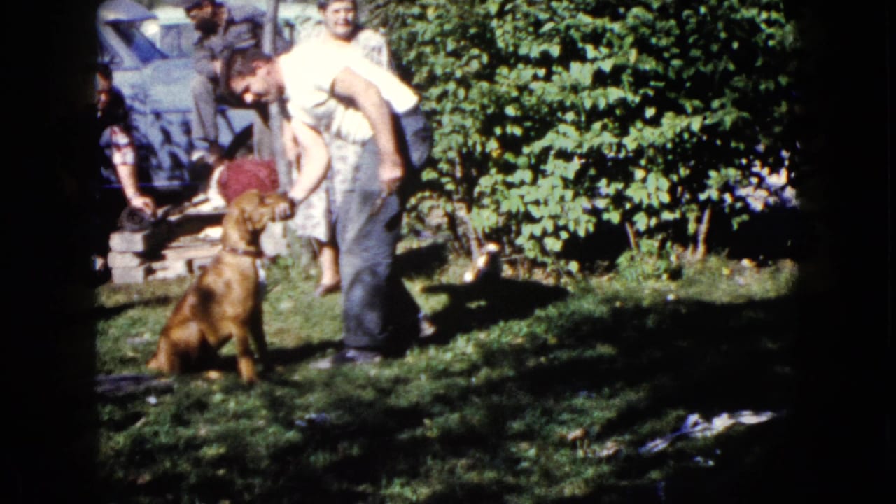 1960 Wauconda home-movie frame of a man bending toward a brown dog while adults gather near shrubs and a parked car.
