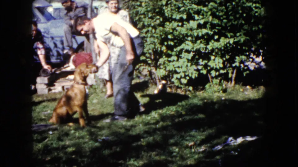 1960 Wauconda home-movie frame of a man bending toward a brown dog while adults gather near shrubs and a parked car.