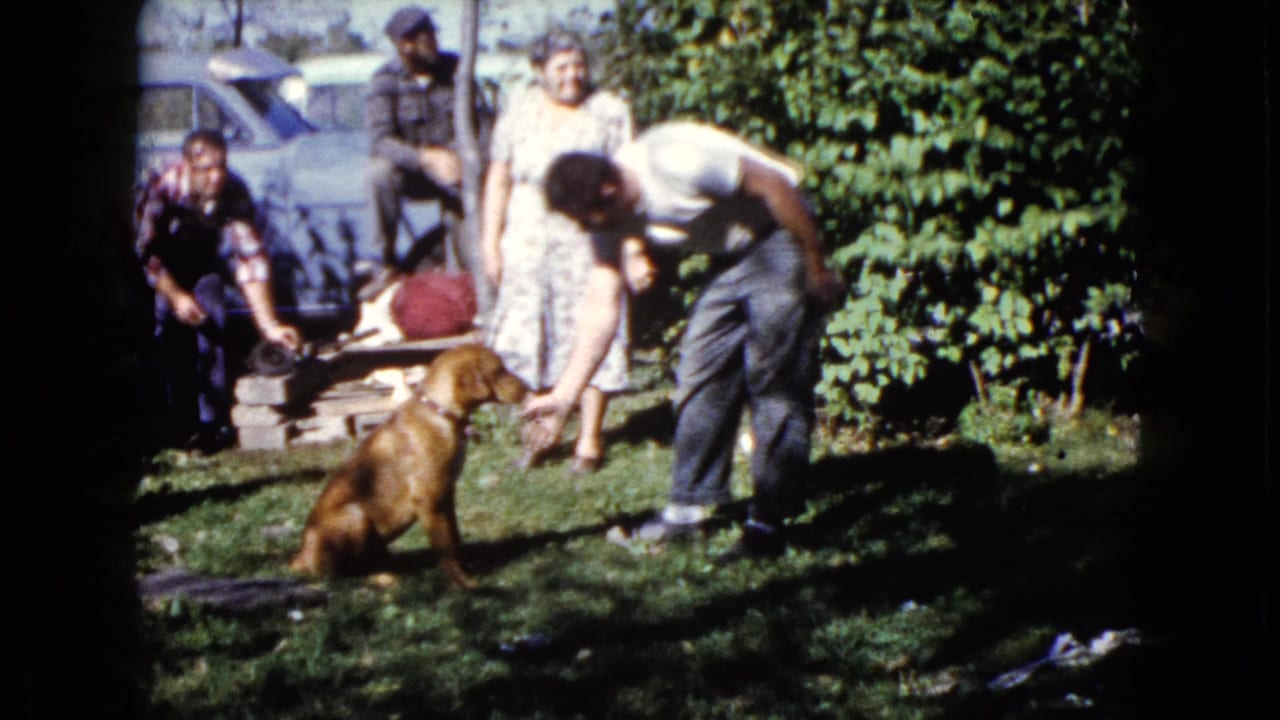 1960 Wauconda backyard scene with a man reaching down to a brown dog, a woman standing behind, and adults near a parked car.