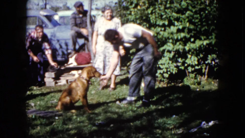 1960 Wauconda backyard scene with a man reaching down to a brown dog, a woman standing behind, and adults near a parked car.