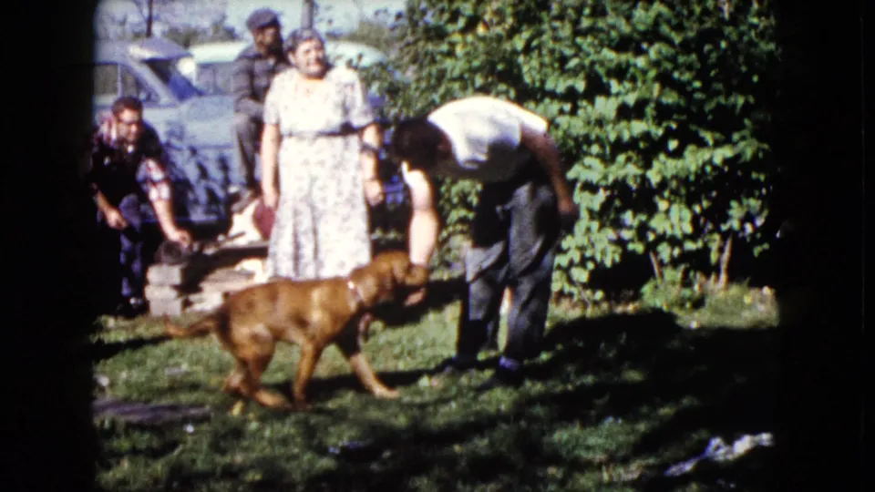 1960 Wauconda frame showing a brown dog moving across the grass near a man, with adults gathered by shrubs and a car.