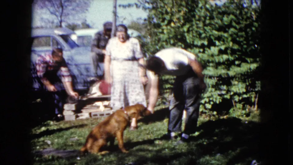 1960 Wauconda home-movie frame with a man bending over a brown dog on the grass and adults gathered near bushes and a parked car.