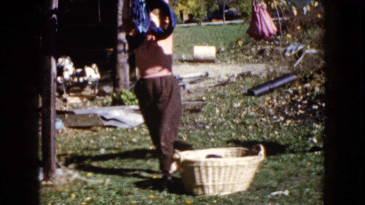 The woman raises laundry toward the line in a sunlit Wauconda backyard, with a wicker basket on the grass nearby.