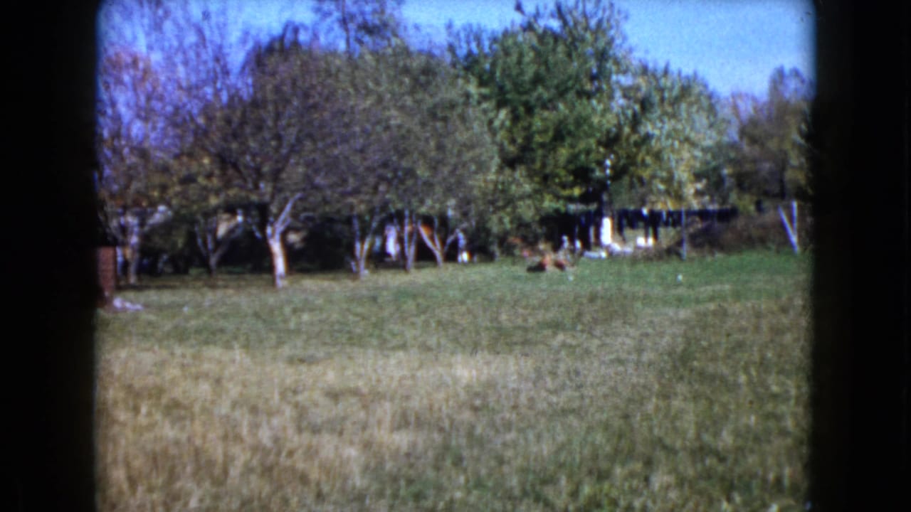 Open grass and trees with a clothesline and small distant figures near the center background.
