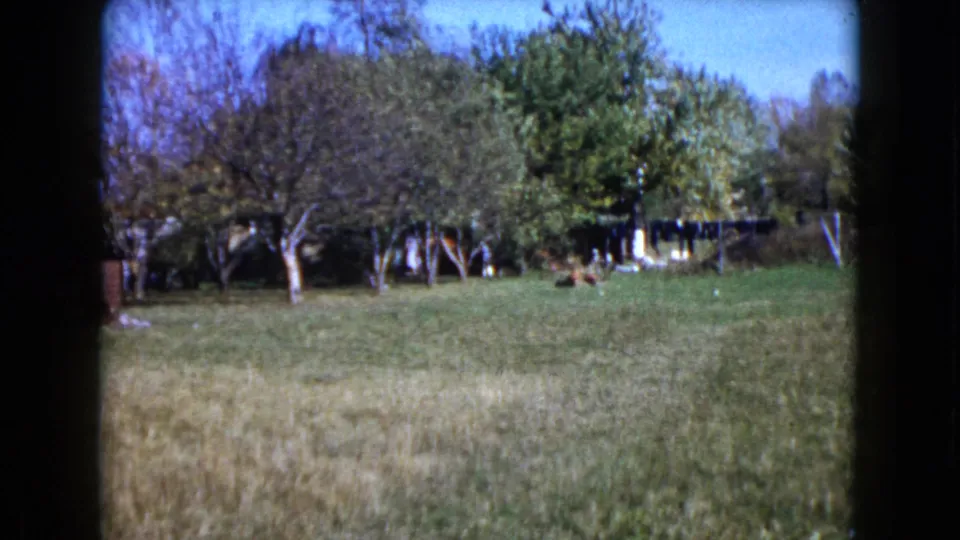 Rural Wauconda yard scene on 8mm film, with trees, laundry line, open grass, and distant people in the background.