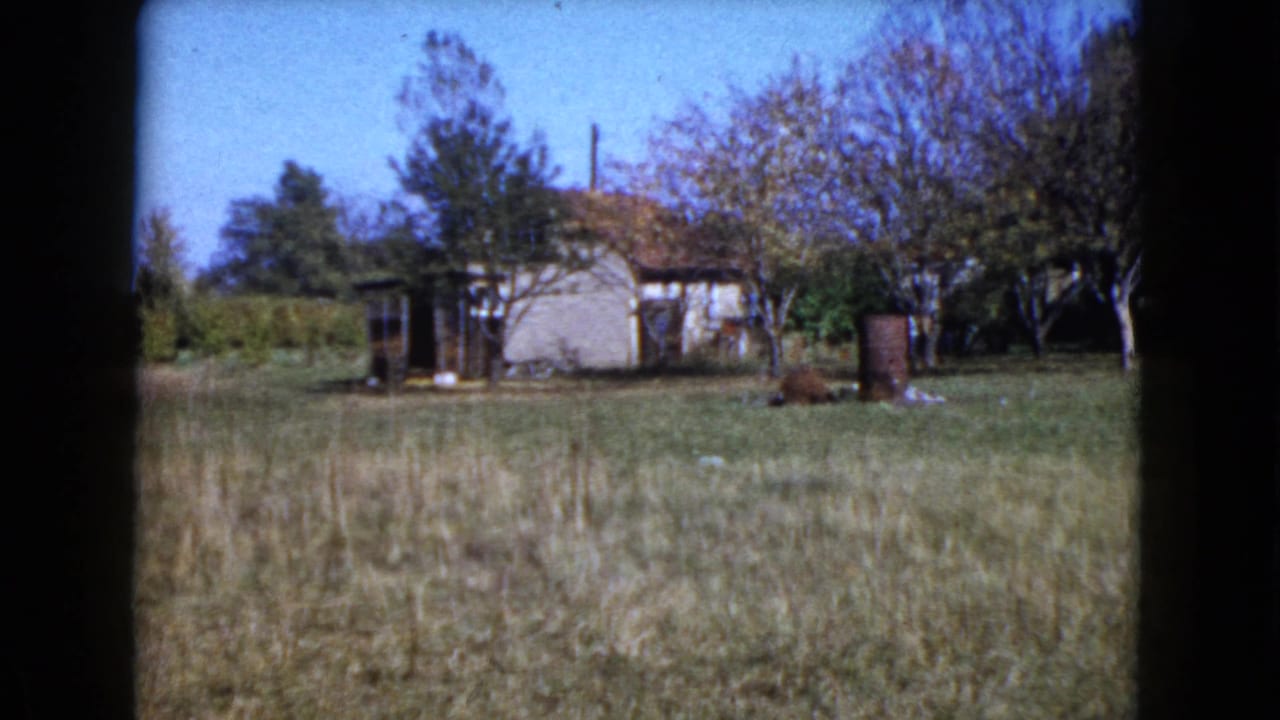 Small weathered house beyond tall grass with trees and a barrel in the yard.
