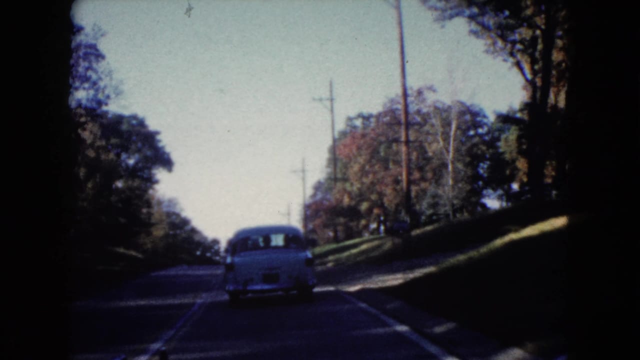 Rear view of a white sedan on a shaded road bordered by trees and grassy banks.