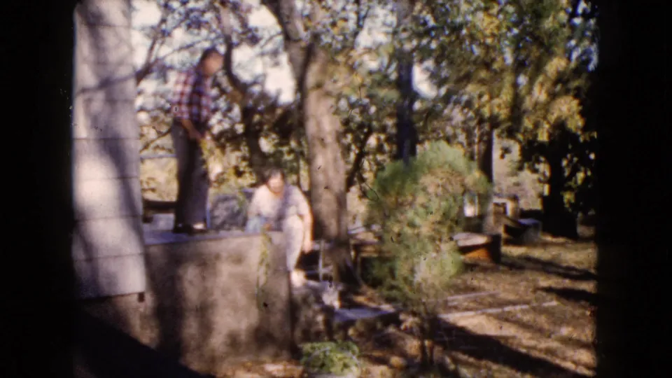 1960 Wauconda, Illinois 8mm frame showing two adults in a sun-dappled backyard with shrubs, trees, a ledge, and outdoor furniture.