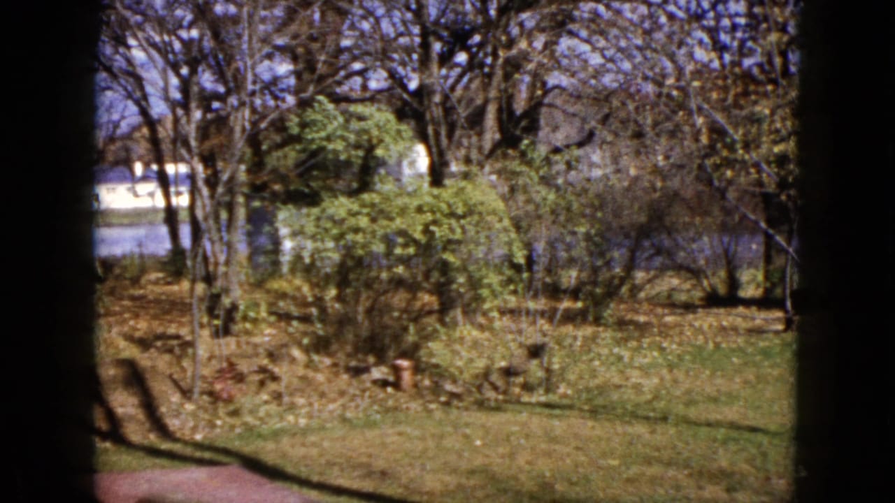 1960 Wauconda, Illinois home-movie frame showing a grassy backyard bordered by trees and shrubs, with water glimpsed in the background.