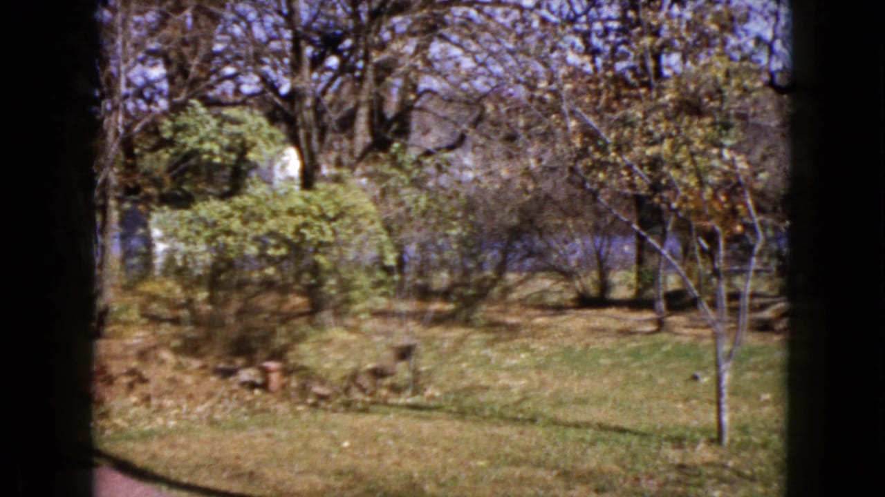 Grassy yard with trees, shrubs, and a small red yard fixture near the center.